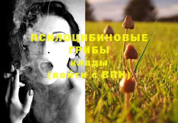 не бодяженный Армянск