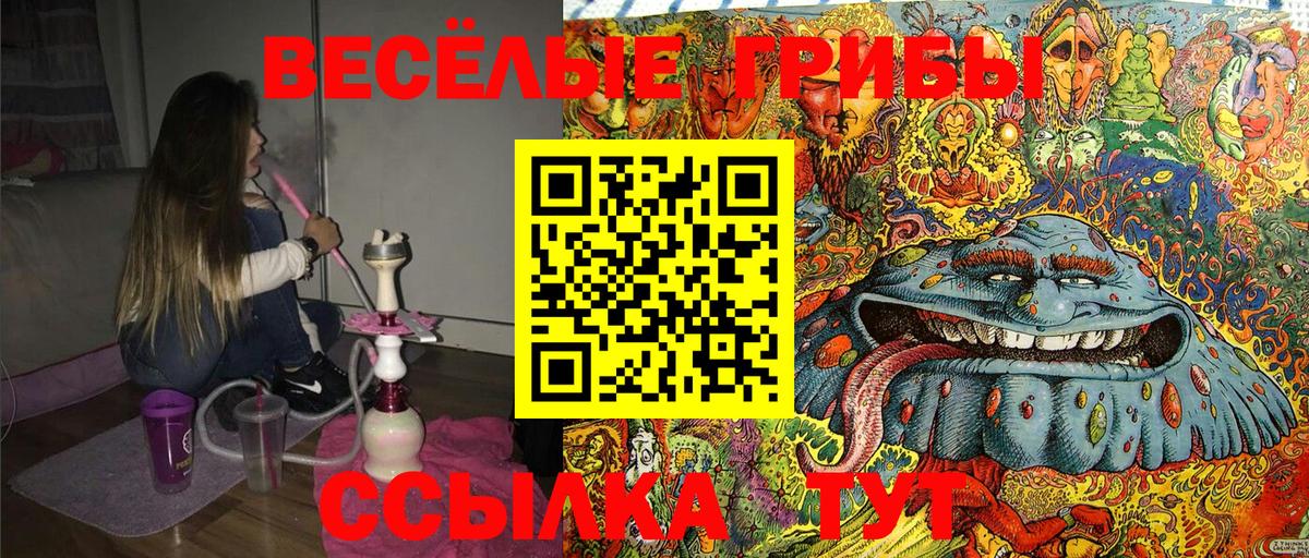 Галлюциногенные грибы мицелий  как найти   Учалы  Вход с VPN 
